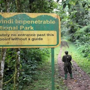 Bwindi Impenetrable National Park