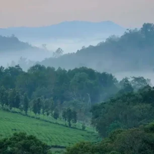 Kibale National Park