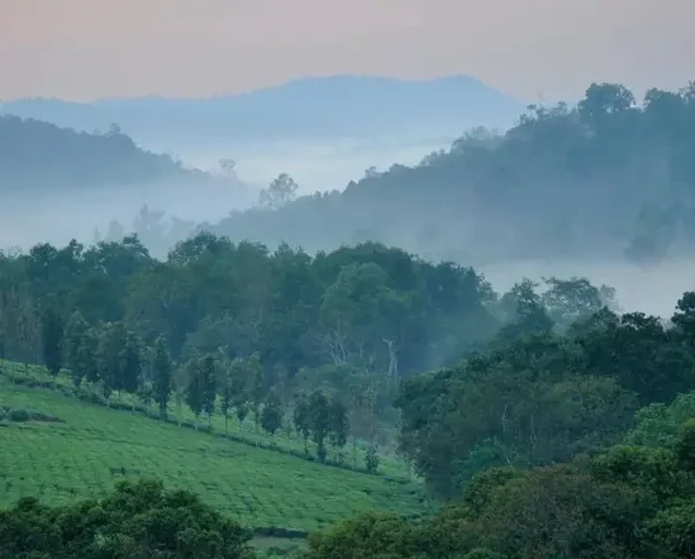 Kibale National Park