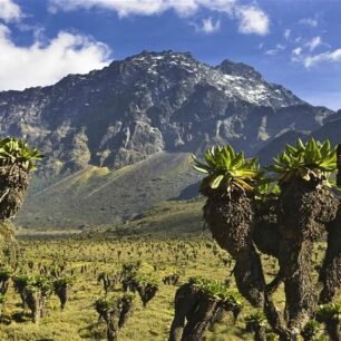 Rwenzori Mountains National Park