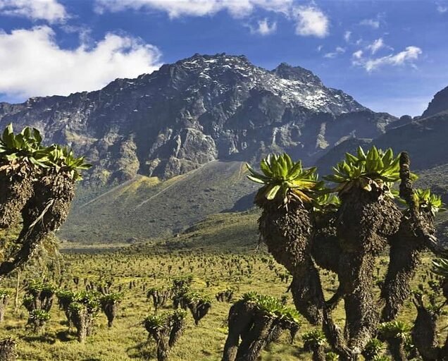 Rwenzori Mountains National Park