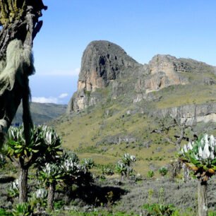 Mount Elgon National Park