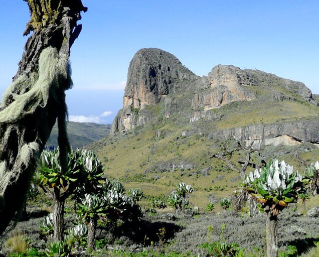 Mount Elgon National Park